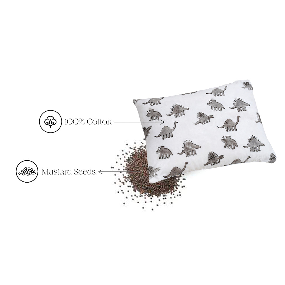 Set of 3 - Dino Masan & Rai Pillow Set