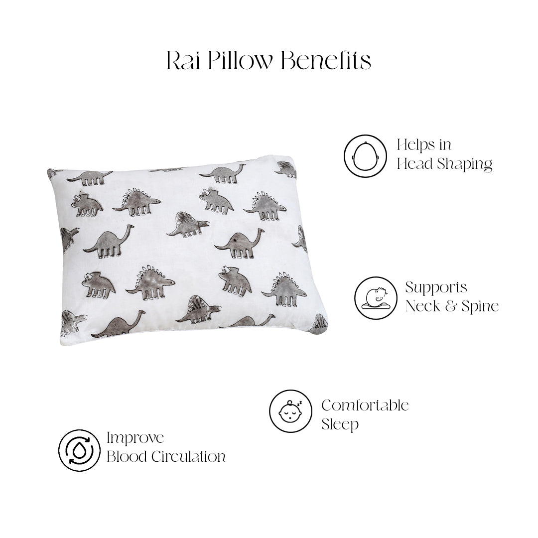 Set of 3 - Dino Masan & Rai Pillow Set