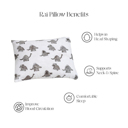 Set of 3 - Dino Masan & Rai Pillow Set